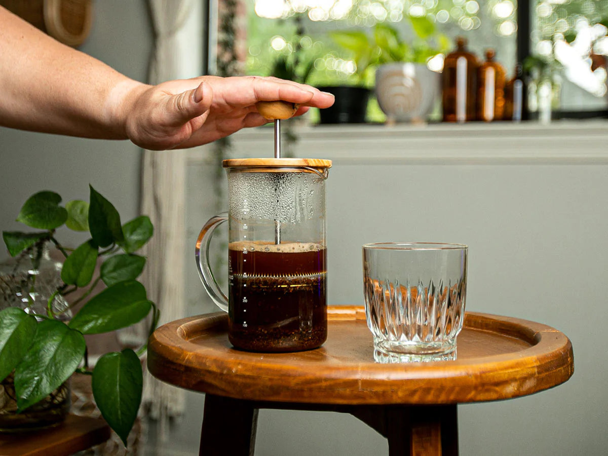 Brewing french press coffee best sale